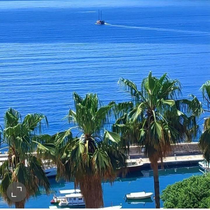 Apartment Tarita Herceg Novi Exteriér fotografie